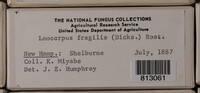 Image Associated With the Occurence